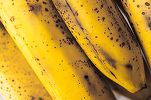 Caloria.ro - Cele trei semne că bananele tale sunt prea coapte pentru a mai fi sigure de consum