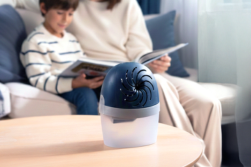 Casa-gradina.ro - Soluția simplă și accesibilă pentru reducerea umidității în orice casă 