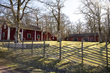 Casalux.ro - Cum proiectezi o grădină care arată bine tot timpul anului