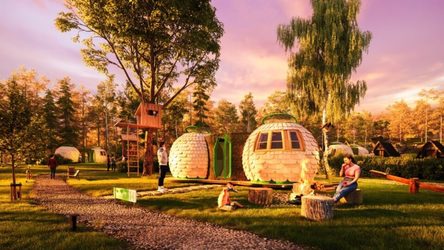 Casalux.ro - FOTO Ciuperci ca material de construcție: prima casă din miceliu

