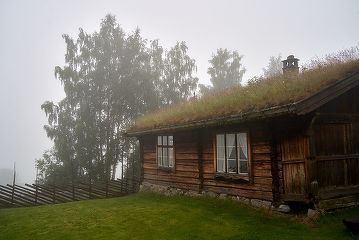 Casa-gradina.ro - Ce plante se potrivesc pe un acoperiș verde