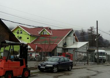 Şeful ANSVSA: Analizele nu au descoperit E.coli în laptele de la fermele care aprovizionau Lactate Brădet