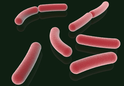 Administratorul Lactate Brădet: DSP Argeş ne-a spus că rezultatele analizelor pentru E.coli nu sunt elocvente