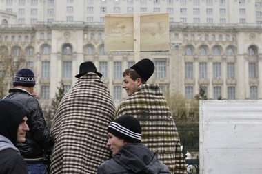 Un fermier a încurcat protestele şi a nimerit la cel al pădurarilor, întrebând de „oieri”