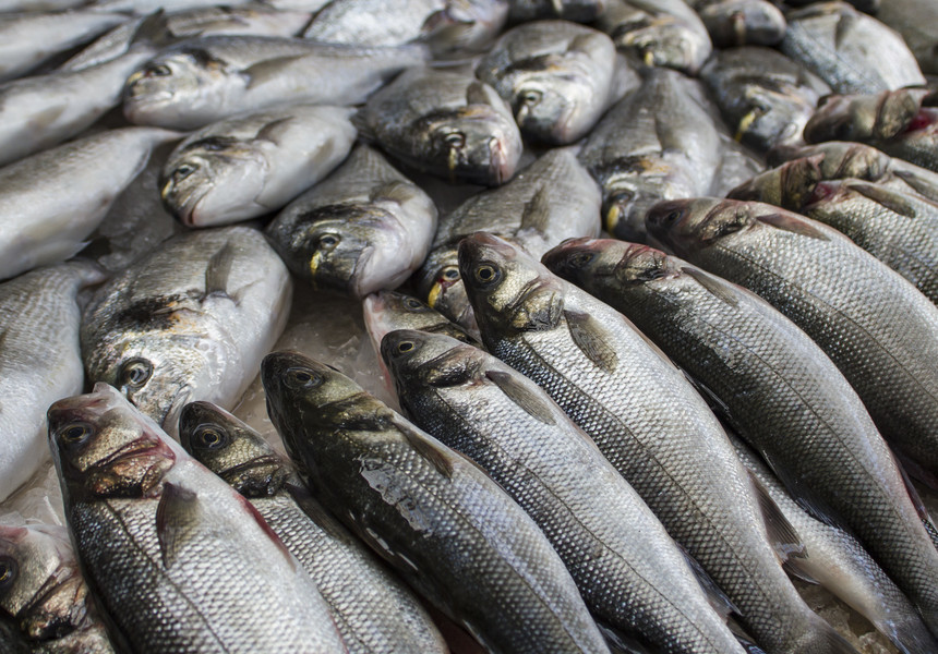 Peste 23 de tone de peşte cu viermi aduse în România din Spania; până acum au fost retrase de la vânzare 3,8 tone
