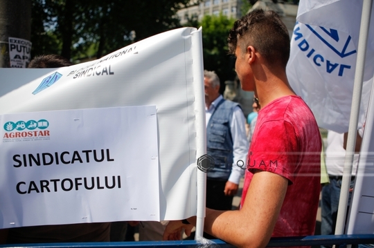 Sindicalişti Agrostar (Foto: Inquam Photos / George Călin)