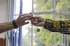 MAI: 120 de sesizări privind posibile contravenţii sau infracţiuni la alegeri, 20 la sută nu au fost confirmate. Amenzi de 11.000 lei şi cercetări pentru 10 posibile infracţiuni
