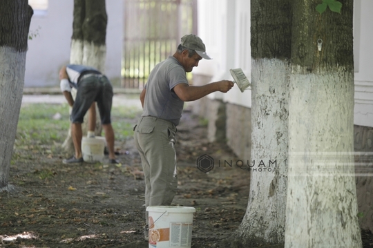 Pregătiri la Curte de Argeş pentru înmormântarea reginei Ana (Foto: Inquam Photos / George Călin)