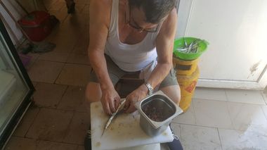 „Delicatese” alterate, preparate printre muşte şi gunoi la o terasă din nordul staţiunii Mamaia. FOTO