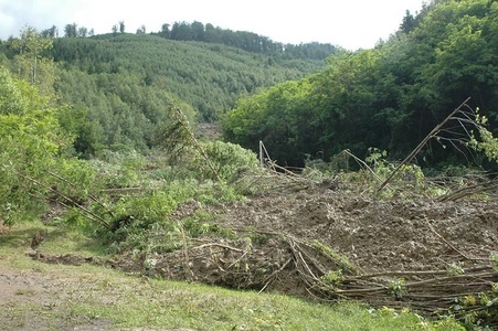 Ministerul Mediului indică defrişările ilegale drept cauză a alunecărilor de teren din Bacău din luna iunie