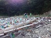 Voluntarii care au curăţat Lacul Bicaz, alungaţi pentru că nu au vrut să strângă bălegarul din faţa casei unui localnic