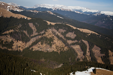 Guvernul începe procedurile pentru înfiinţarea Parcului Naţional Munţii Făgăraş; ministrul Mediului vrea un "Yellowstone european"
