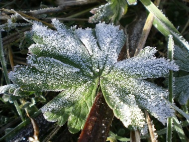 Cele mai scăzute temperaturi din această toamnă - minus 6 grade Celsius la Vârful Omu, minus un grad la Miercurea Ciuc