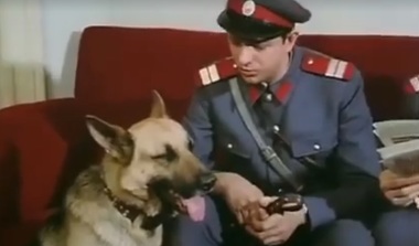 Poliţia Română, mesaj la moartea lui Sebastian Papaiani: Rămas bun, plutonier Căpşună! - VIDEO