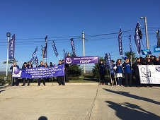 Aproximativ o sută de angajaţi ai Penitenciarului Colibaşi au protestat, cerând demisia Guvernului şi a ministrului Justiţiei - FOTO