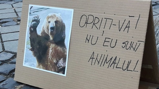 Sibiu: Aproximativ o sută de persoane protestează faţă de modul în care s-a intervenit în cazul ursului împuşcat: ”Opriţi-vă! Nu eu sunt animalul!”