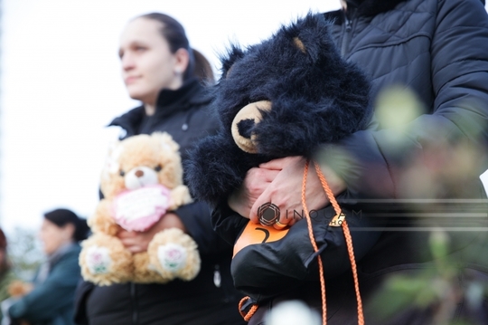 Protest în Capitală faţă de modul în care s-a intervenit în cazul ursului împuşcat la Sibiu (Foto: Inquam Photos / Liviu Albei)