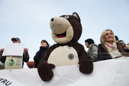 Protest în Capitală faţă de modul în care s-a intervenit în cazul ursului împuşcat la Sibiu (Foto: Inquam Photos / Liviu Albei)