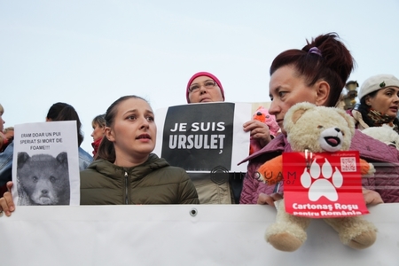 Proteste în Capitală şi în Sibiu faţă de modul în care s-a intervenit în cazul ursului împuşcat la Sibiu - GALERIE FOTO