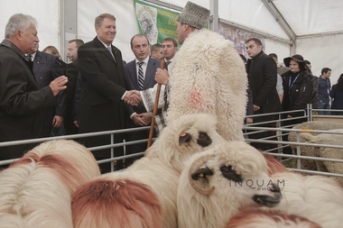 REPORTAJ: Iohannis a vizitat standurile de la Indagra, unde a primit cadou o trăistuţă şi un clop şi l-a botezat pe mielul "Tase"