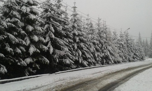 Drumul naţional 67 C, de la Novaci la Rânca, închis din cauza zăpezii şi a viscolului; turiştii veniţi în vacanţă sunt blocaţi în staţiune