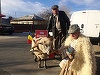 Un vrâncean a venit la vot într-un căruţ tras de o oaie, spunând că a votat ca să nu mai mănânce usturoi chinezesc şi praz turcesc - FOTO