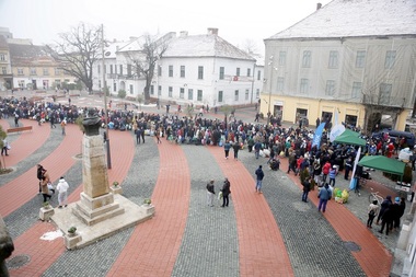 Sute de timişoreni cu saci plini cu PET-uri au stat la coadă pentru a primi în schimbul acestora copaci tuia; arborii s-au epuizat în 20 de minute - FOTO