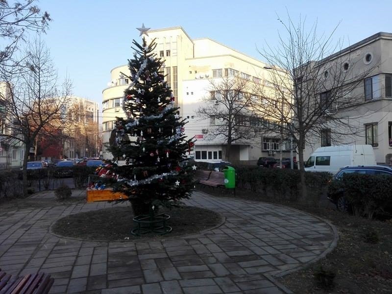 Un brad de Crăciun a fost împodobit cu fotografii ale victimelor din Colectiv în Piaţa Bucur din Bucureşti; Eugen Iancu, preşedintele asociaţiei GTG: Nu s-a înţeles nimic