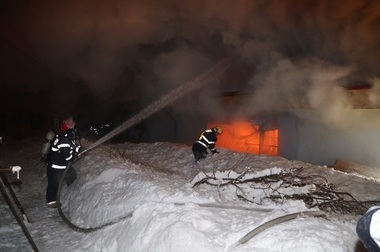 Reprezentant Vier Pfoten, despre incendiul de la menajeria Globus: Ideea e ca circul să nu achiziţioneze alte animale