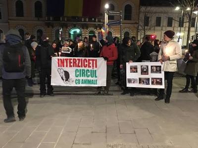 Aproximativ 50 de persoane au protestat în Cluj-Napoca, cerând interzicerea circurilor cu animale - FOTO