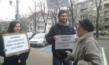 Aproximativ 60 de persoane au protestat la Timişoara: ”Grindene abrogă şi hai la o cafă acasă” - FOTO
