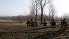 Galaţi: Peste 400 de militari au participat la exerciţiul multinaţional Platinum Eagle 17.1" la Poligonul Smârdan