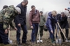REPORTAJ: Premierul Grindeanu a inaugurat Luna plantării arborilor sădind un frasin care-i poartă numele - GALERIE FOTO, VIDEO