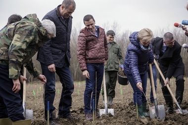REPORTAJ: Premierul Grindeanu a inaugurat Luna plantării arborilor sădind un frasin care-i poartă numele - GALERIE FOTO, VIDEO