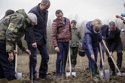 REPORTAJ: Premierul Grindeanu a inaugurat Luna plantării arborilor sădind un frasin care-i poartă numele - GALERIE FOTO, VIDEO