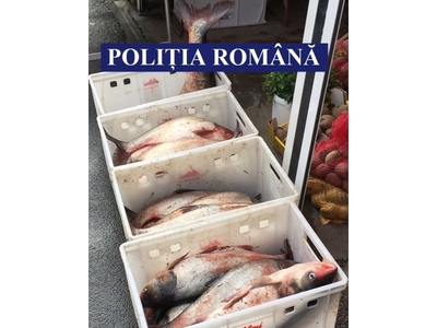 Peste 2,5 tone de peşte au fost confiscate de poliţişti înainte de Florii