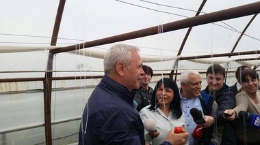 Dragnea susţine că în România există o mafie a importului de legume şi fructe, protejată de membri ai unor instituţii