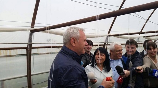 Dragnea susţine că în România există o mafie a importului de legume şi fructe, protejată de membri ai unor instituţii