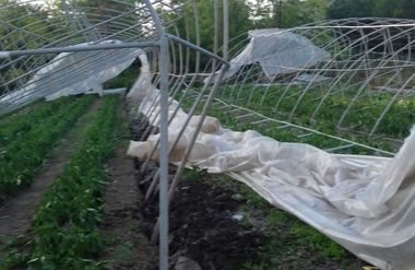 Peste o sută de copaci rupţi şi ţiglele de pe mai multe case smulse de vântul puternic, în localitatea ialomiţeană Făcăeni