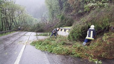 Bilanţ IGSU: Acoperişuri smulse, zeci de copaci doborâţi şi localităţi fără curent electric, în urma furtunilor din zece judeţe ale ţării
