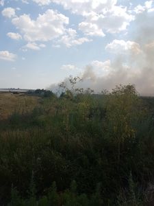 Traficul rutier pe autostrada A2 Bucureşti-Constanţa este deviat din cauza unui incendiu de vegetaţie