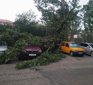 Bistriţa-Năsăud: Copaci smulşi şi zeci de acoperişuri distruse din cauza furtunii; mai multe familii au fost evacuate din case