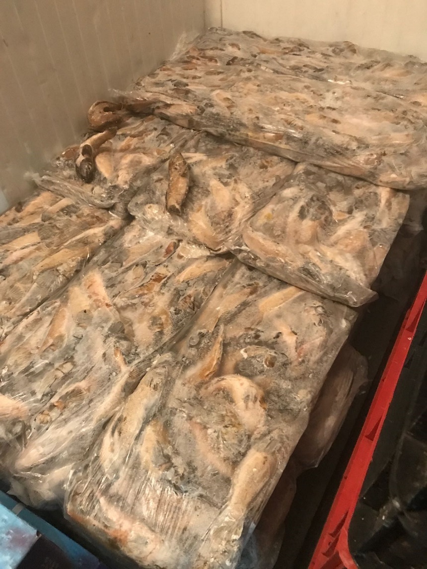 Depozitul de peşte din Constanţa care vindea calcan proaspăt ca peşte congelat, amendat cu 60.000 de lei
