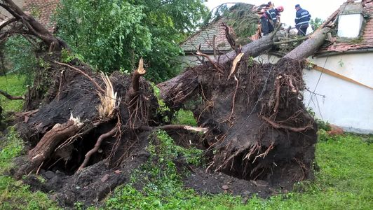 Pompierii intervin pentru îndepărtarea unor copaci care au căzut pe două case din judeţul Sibiu, fără a exista victime