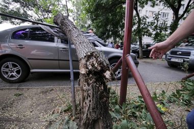 UPDATE - Unsprezece judeţe, sub cod portocaliu de furtuni în următoarele ore, alte şapte fiind sub cod galben. Optsprezece copaci au căzut peste maşini sau pe şosea, în urma furtunii produse în Bucureşti şi în judeţul Ilfov - FOTO