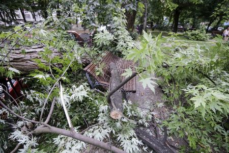 Bilanţ IGSU: 42 de arbori doborâţi de vânt, anexe şi curţi inundate în urma furtunilor, în 26 de localităţi din ţară
