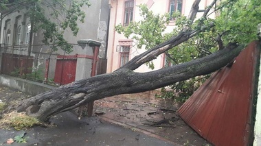 Arafat: Fenomenele  meteo extreme se vor intensifica. Populaţia să ţină cont de alerte. Când este vijelie nu ieşi pe stradă, nu stai sub un pom