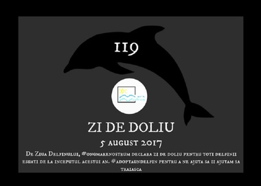 ONG Mare Nostrum spune că aproape 120 de delfini au eşuat pe litoral de la începutul anului
