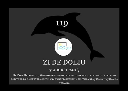 ONG Mare Nostrum spune că aproape 120 de delfini au eşuat pe litoral de la începutul anului