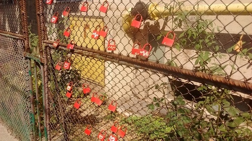 REPORTAJ: Mâna întinsă care spune o poveste poate primi un garou şi poate dona viaţă